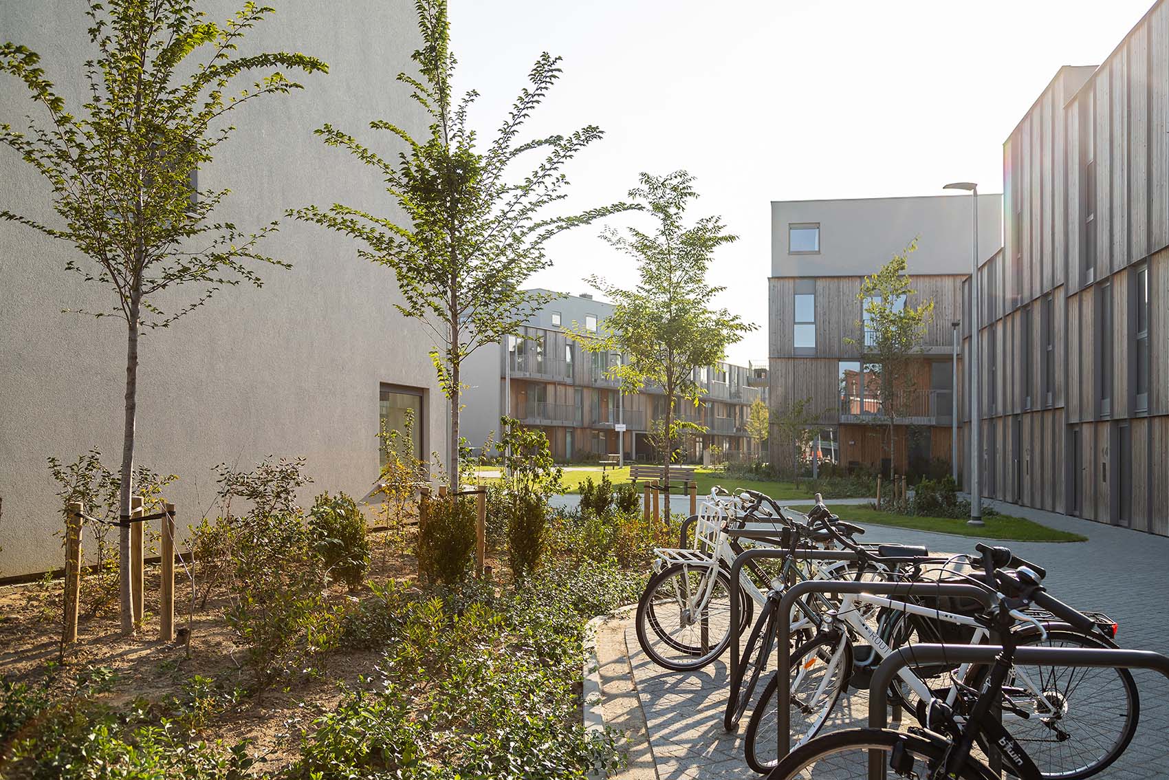 vol fietsenrek bij duurzaam gebouw in st niklaas