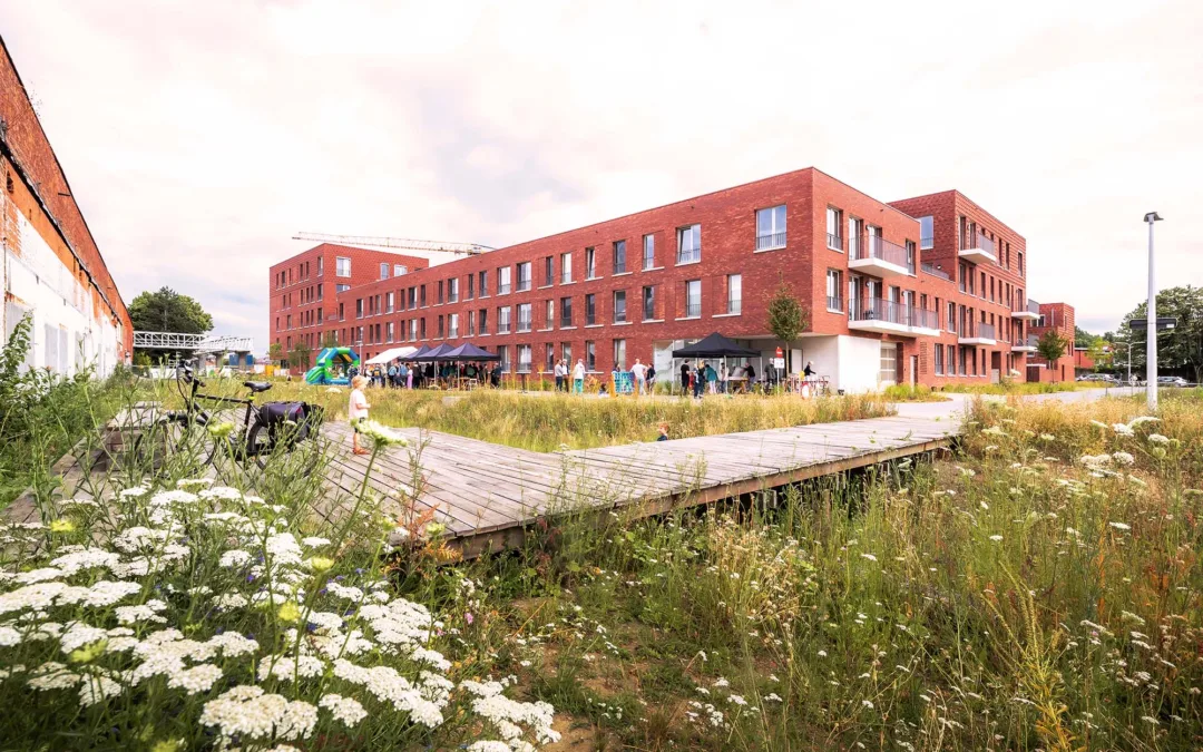 Press: Saverys-holding investeert 40 miljoen in projectontwikkelaar Revive