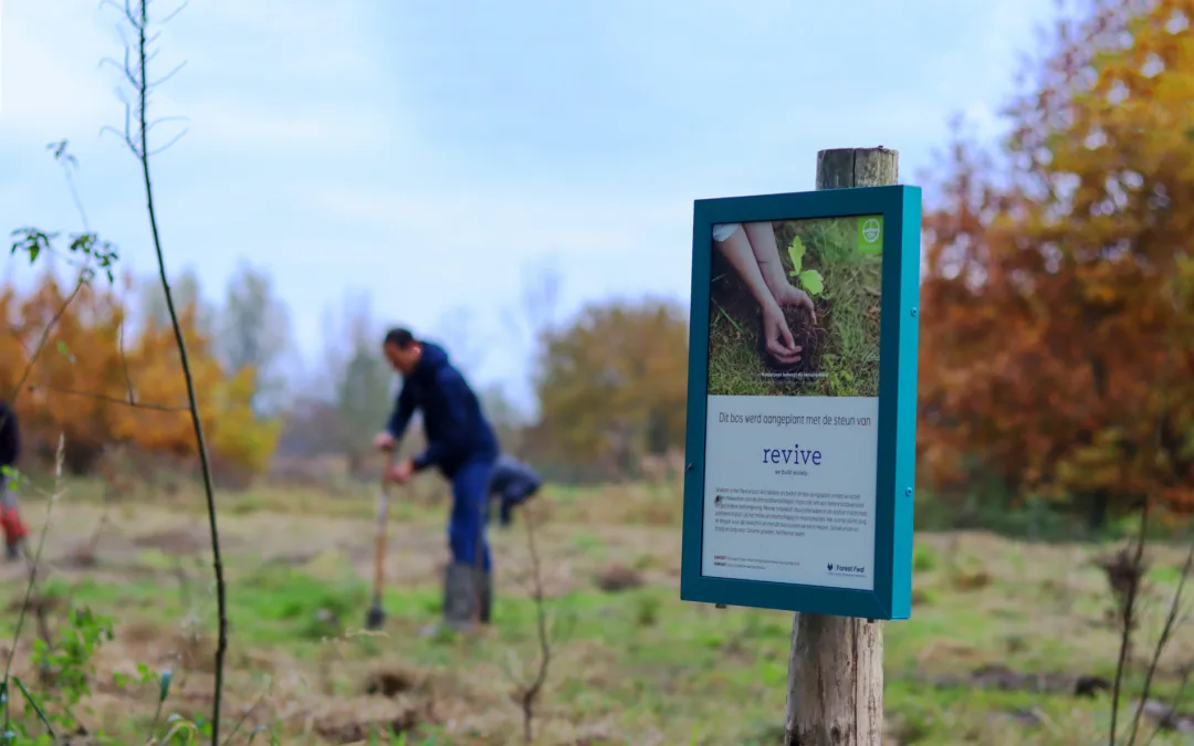 Ontdek hoe we meer natuur in de stad krijgen