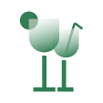 flag icon