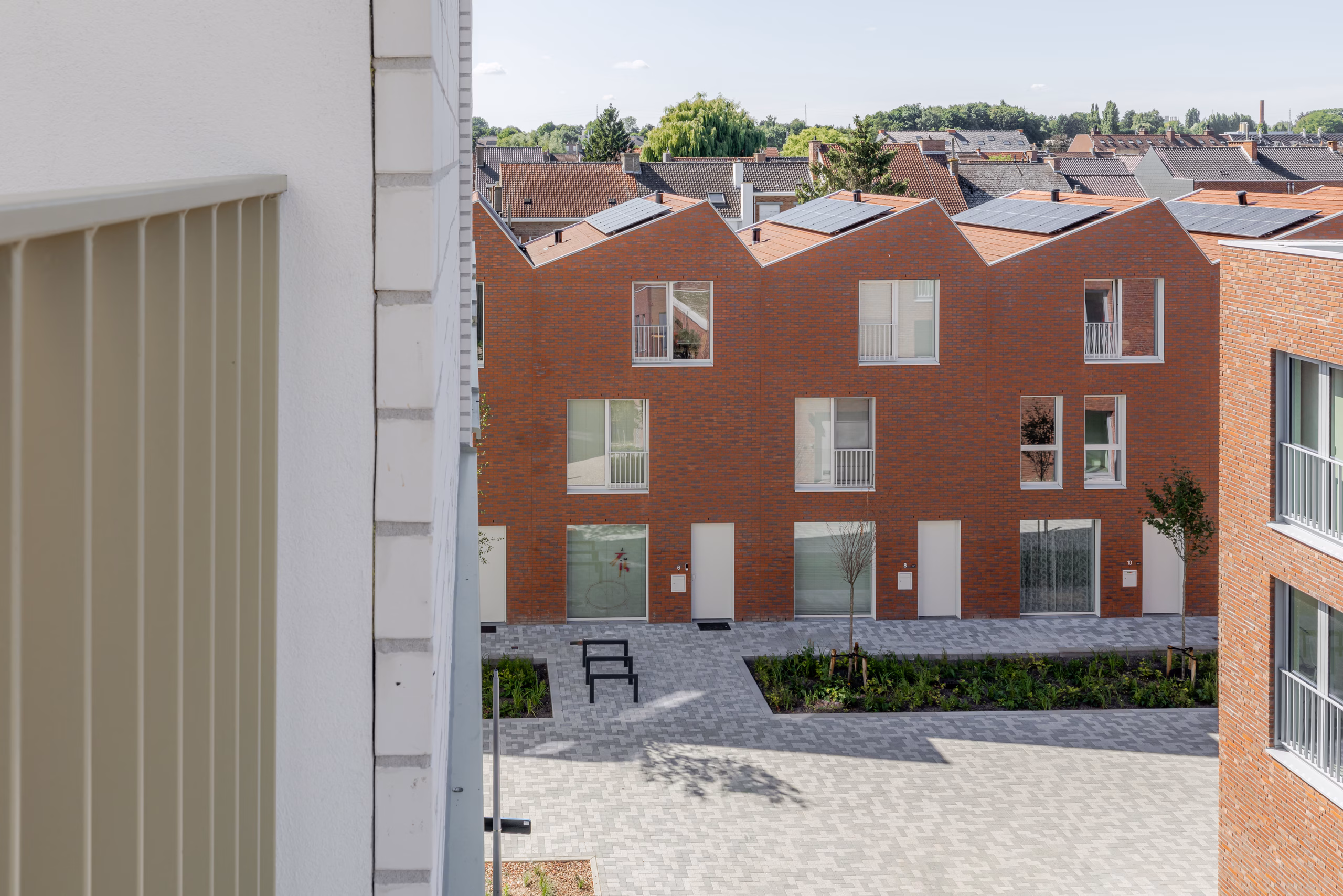 REVIVE - Saffrou - 2025 - Oudenaarde