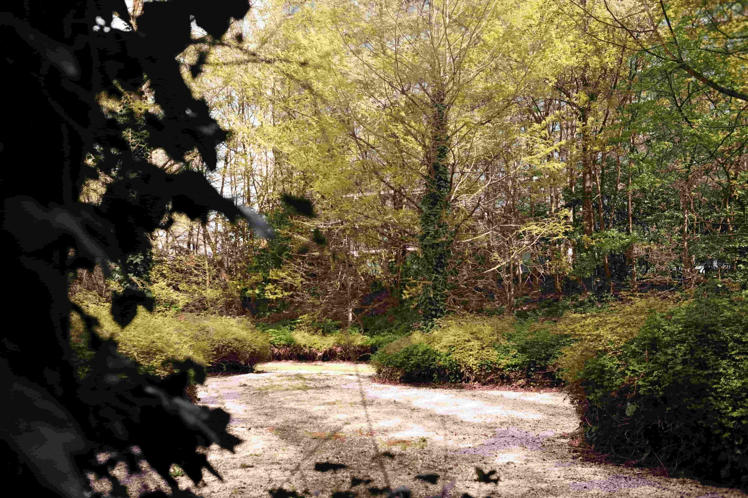 we-garden jardin